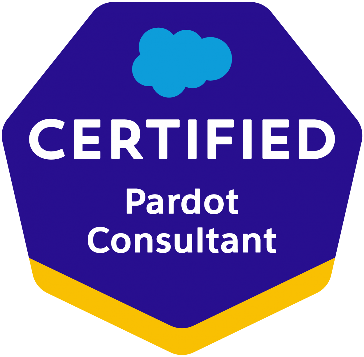 Pardot-Consultant Fragenkatalog