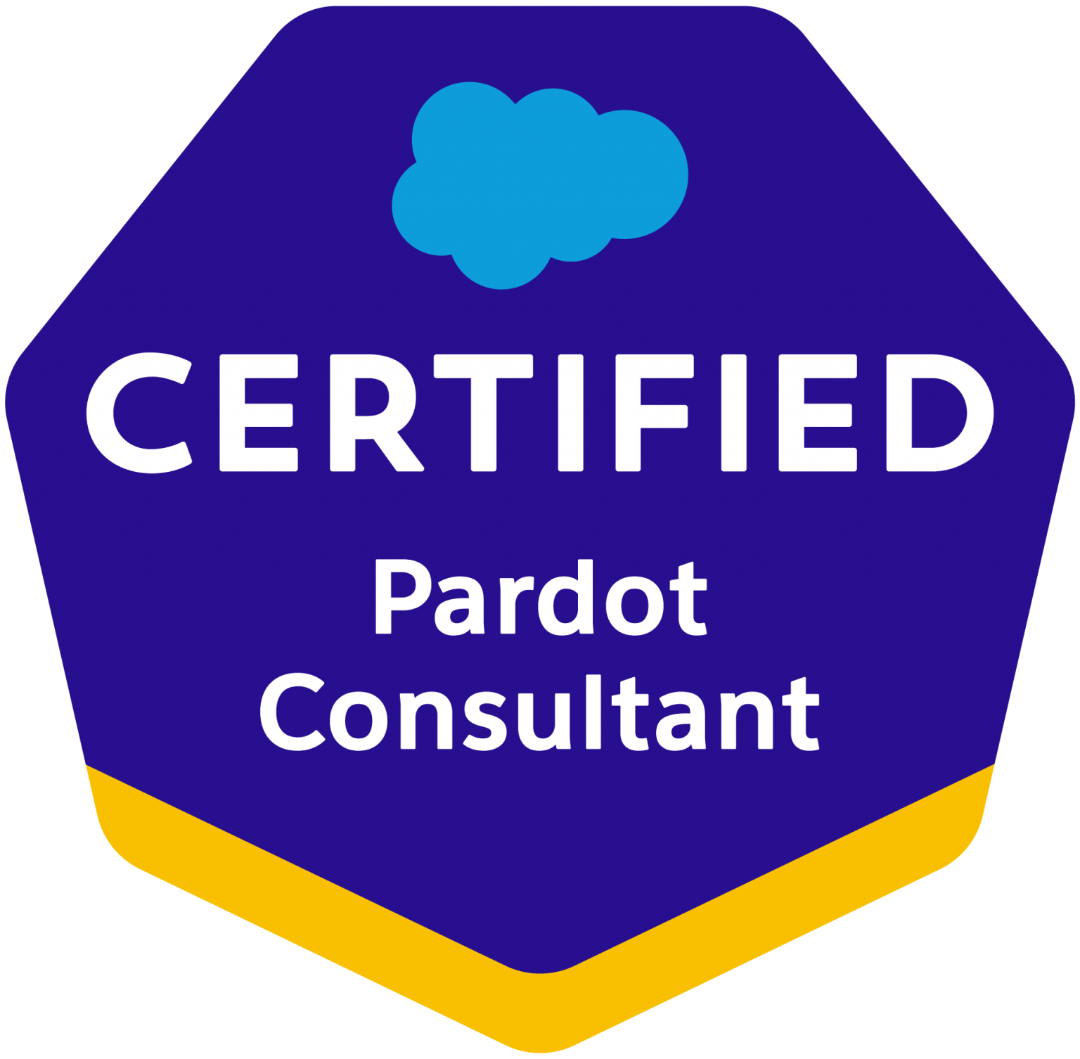 Pardot-Consultant関連問題資料